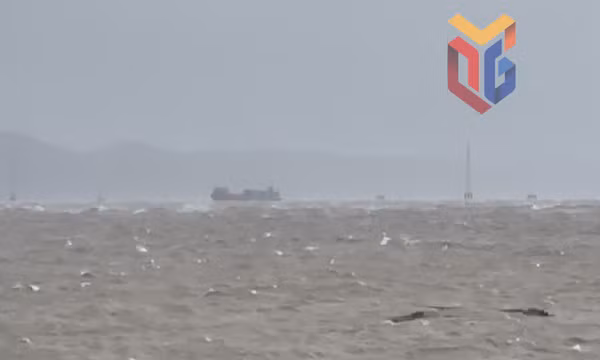 Khẩn trương triển khai ứng cứu 2 tàu trôi dạt trên vùng biển Mũi Ngọc