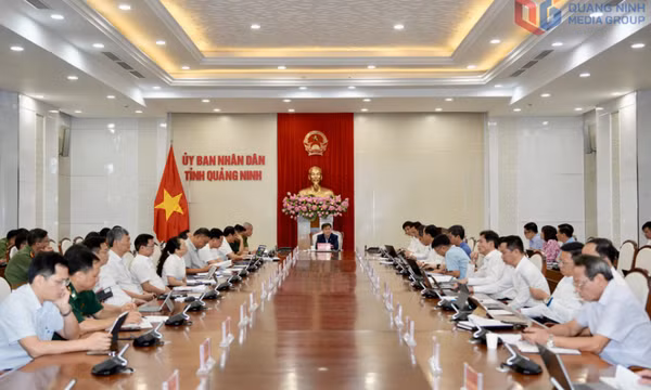 Quyết tâm về đích sớm trong mục tiêu xây dựng tỉnh kiểu mẫu về dữ liệu số