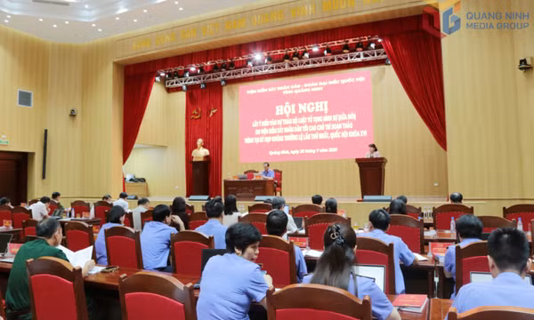 Tham vấn, lấy ý kiến dự thảo Bộ luật Tố tụng hình sự (sửa đổi)