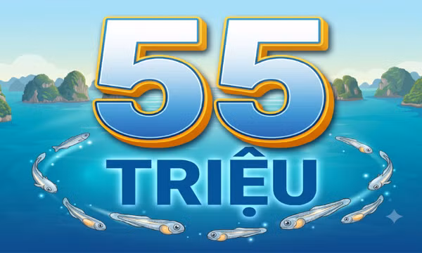 55 triệu - là nhu cầu con giống cá biển của Quảng Ninh mỗi năm