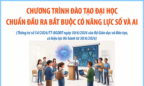 Chương trình đào tạo đại học: Chuẩn đầu ra bắt buộc có năng lực số và AI