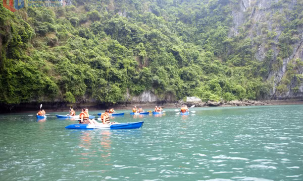 Giữ sắc xanh cho Di sản