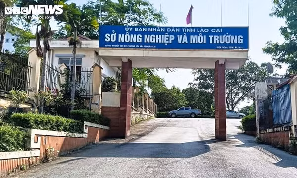 Phát hiện cán bộ Sở Nông nghiệp và Môi trường Lào Cai tử vong tại trụ sở