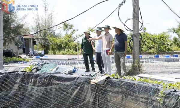 Phường Móng Cái 3: Đội ngũ cán bộ cơ sở nhanh chóng bắt nhịp nhiệm vụ