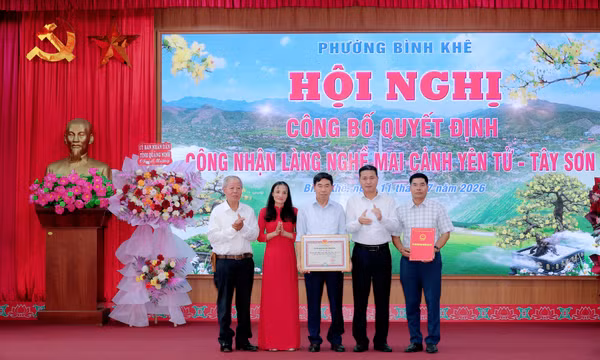 Phường Bình Khê công bố và trao Quyết định công nhận Làng nghề Mai cảnh Yên Tử - Tây Sơn