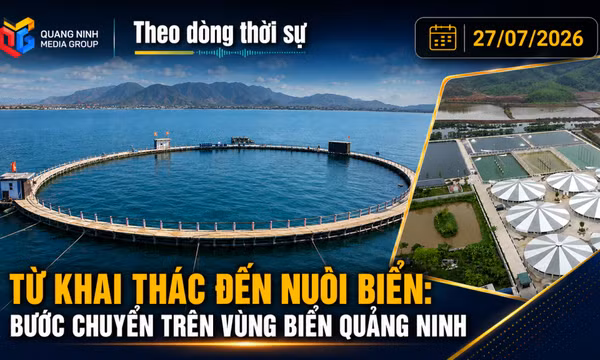 Theo dòng thời sự 27/7/2026: Từ khai thác đến nuôi biển: bước chuyển trên vùng biển Quảng Ninh 