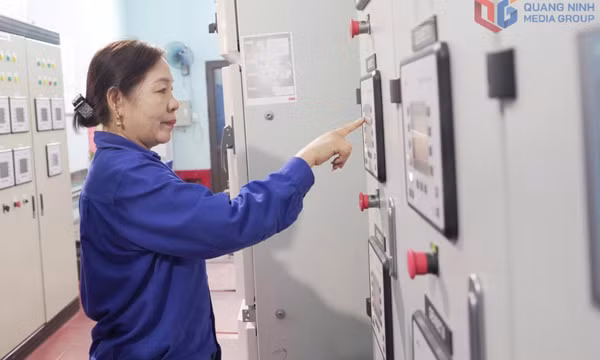 Từ “công sở xanh” đến “tiêu dùng xanh”