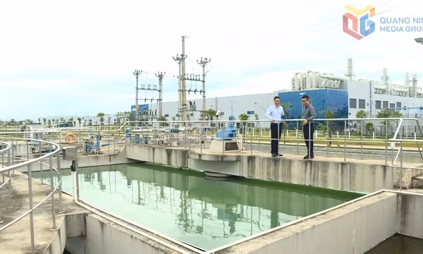 Phát triển kinh tế gắn với bảo vệ môi trường
