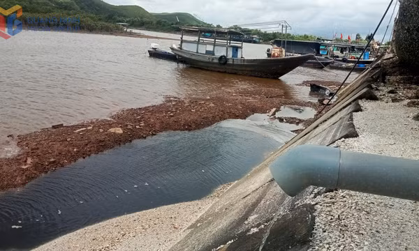 Kiểm tra việc chấp hành pháp luật tại các cơ sở sơ chế, chế biến hàu ở xã Đầm Hà