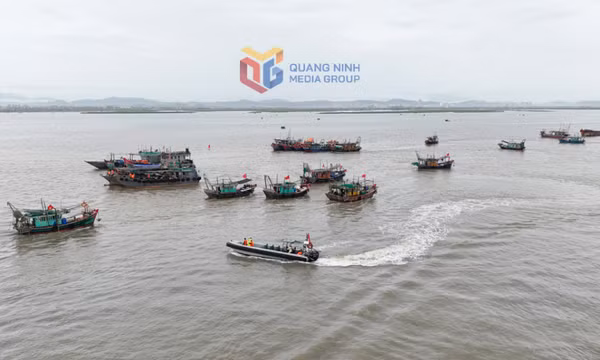 Phường Móng Cái 1 diễn tập phòng thủ dân sự năm 2026