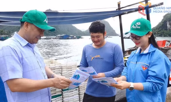 Nông dân Vân Đồn đa dạng hoạt động bảo vệ môi trường