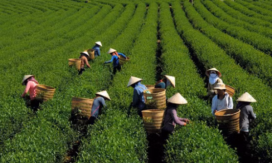 Hỗ trợ khởi nghiệp và đầu tư vùng miền núi