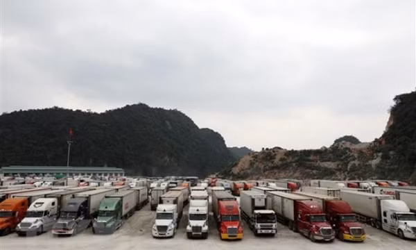 Phát hành Cẩm nang hướng dẫn xuất khẩu rau quả sang Trung Quốc