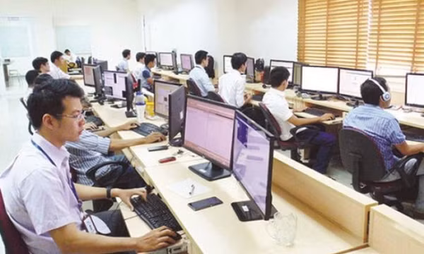 Cách xếp lương viên chức chuyên ngành công nghệ thông tin