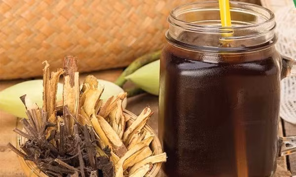 Nhiều người vô tư uống nhân trần giải khát hàng ngày mà không biết đến những đại kỵ này