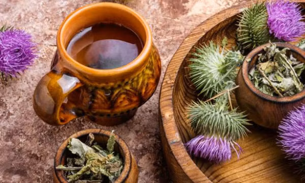 6 thảo dược hỗ trợ ngăn ngừa loãng xương