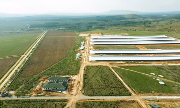 Việt Nam - Lào còn nhiều dư địa trong hợp tác thương mại