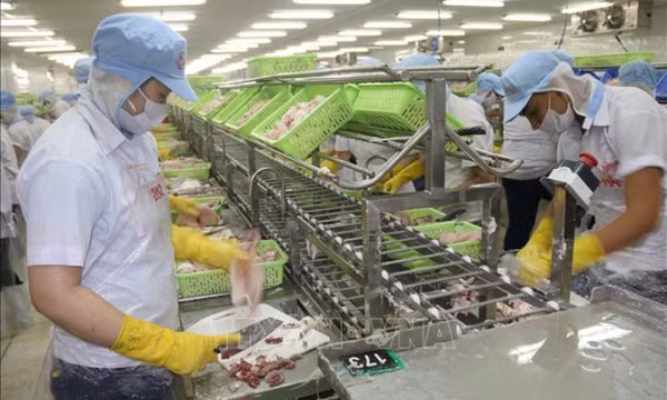 Ngân sách thu hồi trên 16.000 tỷ đồng nợ đọng thuế