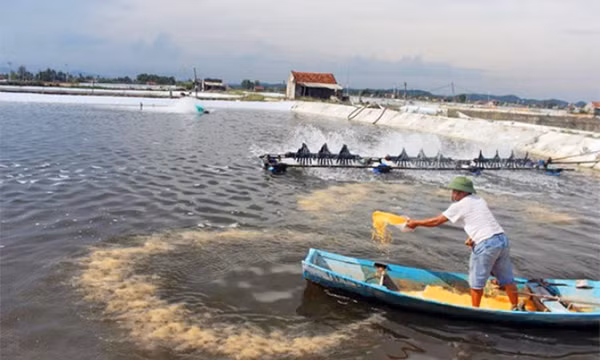 Kiểm soát, ngăn ngừa ô nhiễm trong các hoạt động thủy sản