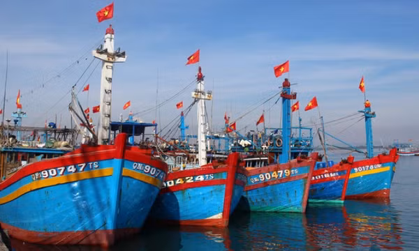 Nghiên cứu hỗ trợ ngư dân ảnh hưởng do giá xăng, dầu