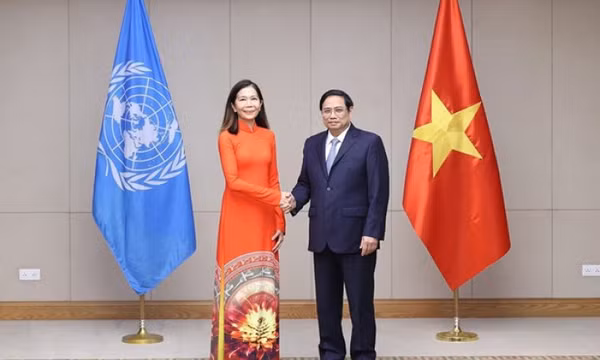 Việt Nam tiếp tục thúc đẩy các hoạt động hợp tác với Liên hợp quốc
