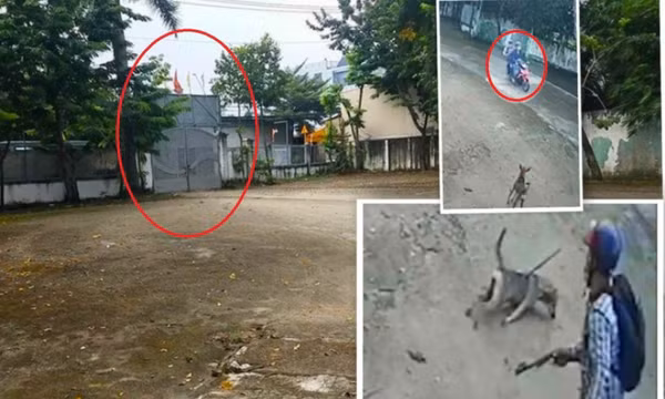 Chạy thẳng xe vào sân nhà dân bắn trộm chó giữa ban ngày