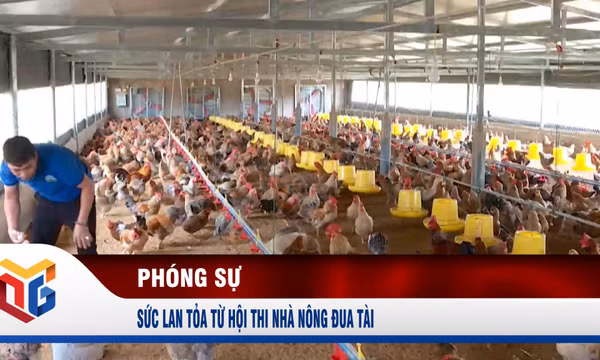 Sức lan tỏa từ hội thi Nhà nông đua tài