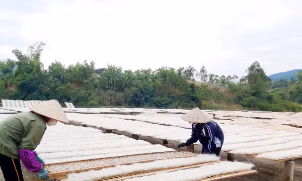 Để nâng tầm sản phẩm OCOP chủ lực ở Bình Liêu