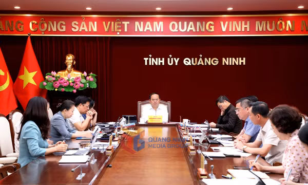 Giao ban Thường trực Tỉnh ủy