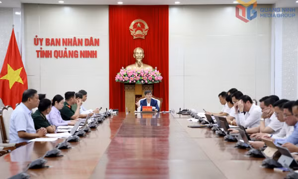 UBND tỉnh cho ý kiến về phương án xây dựng dự toán ngân sách nhà nước năm 2027
