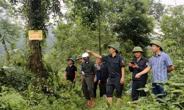 Quản lý, bảo vệ rừng bằng công nghệ