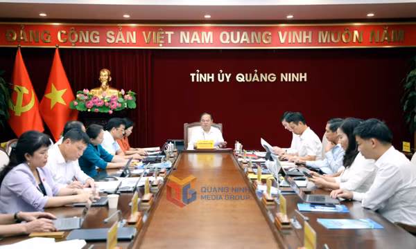 Ban Thường vụ Tỉnh ủy cho ý kiến về nhiều nội dung quan trọng