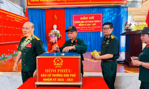 Đến 11h ngày 16/8: Toàn tỉnh đã có 91,07% cử tri đi bỏ phiếu bầu trưởng thôn, khu