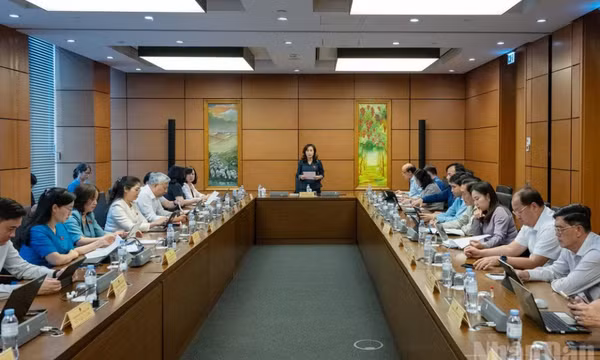 Làm rõ phạm vi trách nhiệm bồi thường của Nhà nước trong hoạt động quản lý thuế