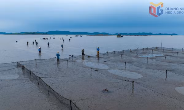 Quảng Hà: Lập lại trật tự mặt nước, bãi triều