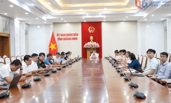 Đa dạng hoạt động hưởng ứng Ngày Pháp luật Việt Nam 