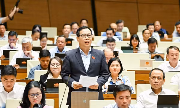 Cần bổ sung trách nhiệm của nền tảng số, ứng dụng AI trong phổ biến, giáo dục pháp luật