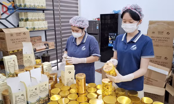 Hợp tác xã bắt nhịp chuyển đổi số