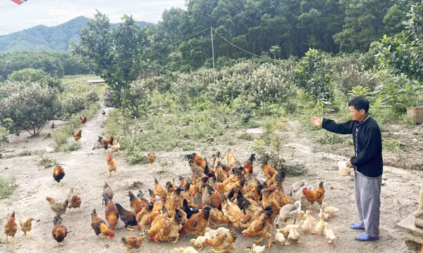 Ưu tiên nguồn lực chăm lo vùng đồng bào dân tộc thiểu số