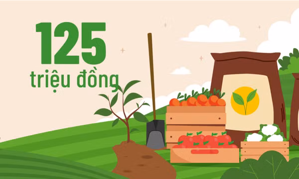 125 triệu đồng - là giá trị sản phẩm bình quân/ha ngành Nông nghiệp Quảng Ninh phấn đấu đạt năm 2026