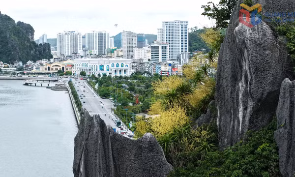 Khát vọng nhiều thế hệ