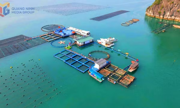 Mở rộng không gian tăng trưởng từ biển