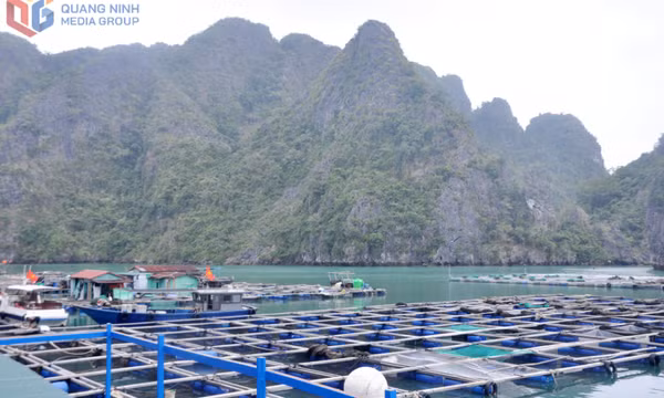 Khai thác du lịch gắn với nuôi trồng thủy sản tại Vân Đồn