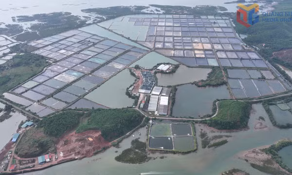Quảng Ninh đề xuất bổ sung 8 dự án điện mặt trời vào Điều chỉnh Quy hoạch điện VIII