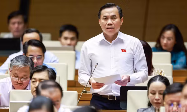 Đại biểu Quốc hội: Quản lý mật độ chăn nuôi gắn với sức chịu tải thực tế