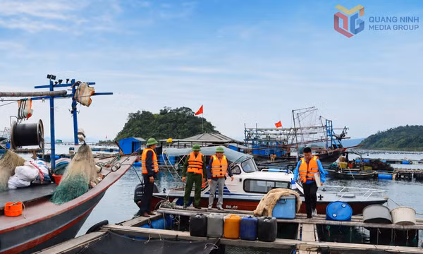 Xã Đầm Hà siết chặt quản lý, chống khai thác IUU