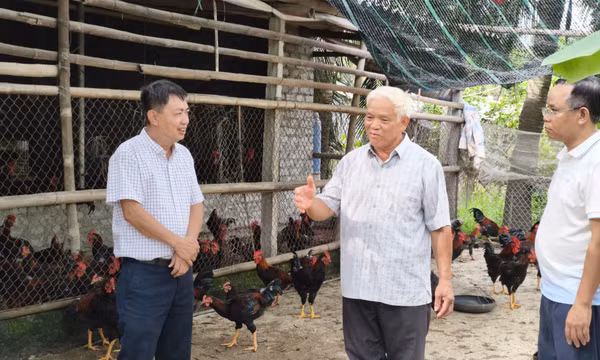 Tạo "lá chắn" phòng dịch cho đàn vật nuôi