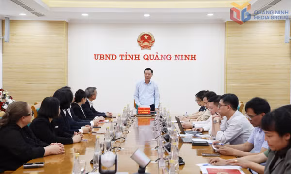Lãnh đạo UBND tỉnh làm việc với Tập đoàn Central Retail