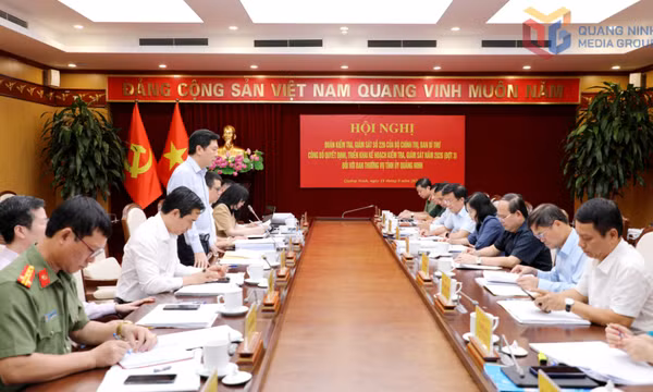 Công bố quyết định của Bộ Chính trị, Ban Bí thư về kiểm tra, giám sát đối với Ban Thường vụ Tỉnh ủy