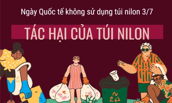 Hiểm họa môi trường và sức khỏe từ việc sử dụng tràn lan túi nylon